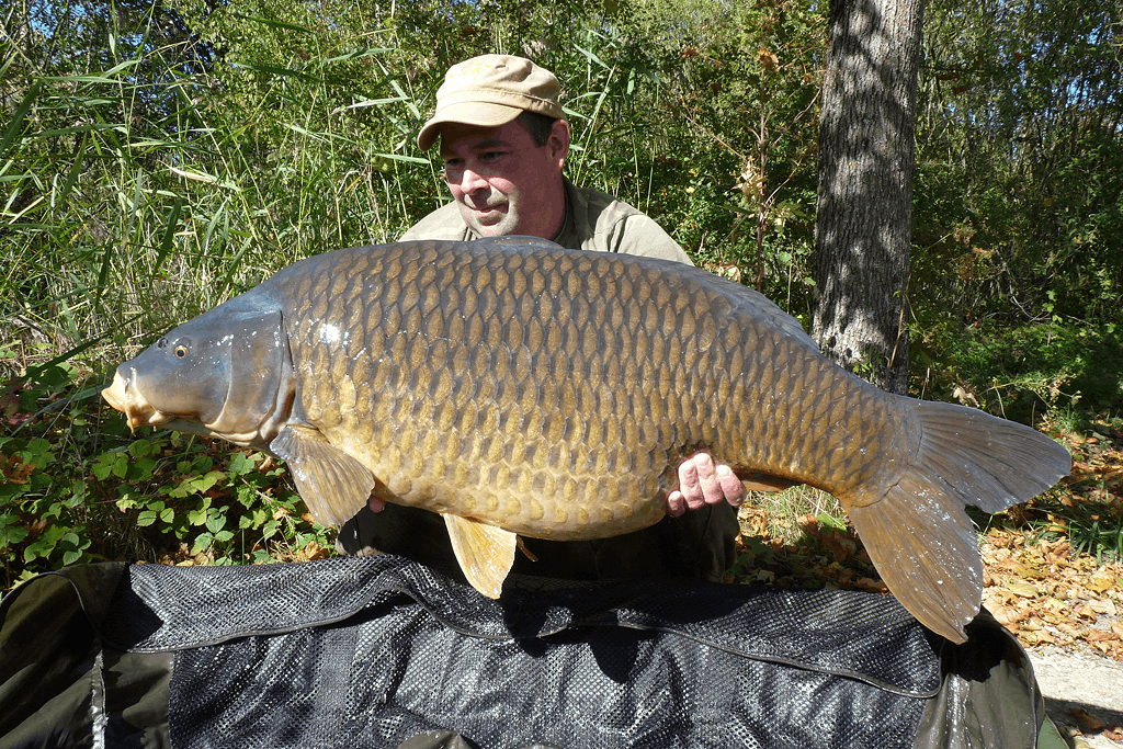 bouillette carpe pêche appât France Belgique