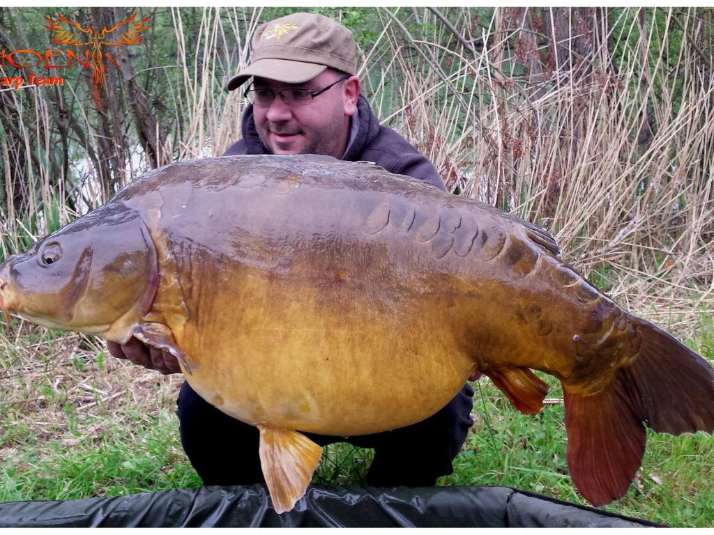 bouillette carpe pêche appât France Belgique